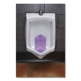 Boardwalk® Vertical Urinal Screen, Lavender Scent, Purple, 5.22 oz, 6/Carton (BWKVERUSPUR) Case of 6