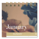 Cambridge® Midnight Garden Monthly Wall Calendar, 15 x 12, Floral Artwork, 12-Month (Jan-Dec): 2026 (AAG1768707) Each