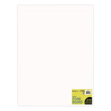 Royal Brites Foam Board, 15" x 20", 3/16" Thick, White, 10/Pack (GEO26984) Each