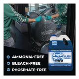 Simple Green® Pro Glass Cleaner, 1 gal Bottle, 4/Carton (SMP1101128) Case of 4