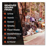 Simple Green® Pro Odor Control Ready-To-Use, Herbal, 32 oz Spray Bottle, 12/Carton (SMP0704032) Case of 12