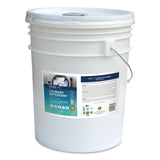 ECOS® PRO Laundry Detergent Liquid, Free and Clear, 5 gal Pail (EOPPL976405) Each