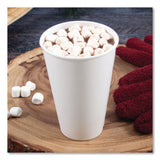 SOLO® Thermoguard Insulated Paper Hot Cups, 16 oz, White Sustainable Forest Design, 30/Pack (SCCDWTG16WPK) Pack of 30