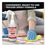 Simple Green® Pro Carpet Cleaner Ready-To-Use, 32 oz Spray Bottle, 12/Carton (SMP0506032) Case of 12