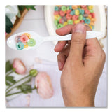 SOLO® Style Setter Medium Weight Polypropylene Cutlery, Teaspoon, Plastic, White, 1,000/Carton (SCCS6OW) Case of 1000