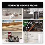 Simple Green® Pro Odor Eliminator, Eucalyptus Scent, 1 gal Bottle, 6/Carton (SMP4251128) Case of 6