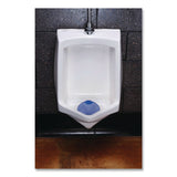 Boardwalk® Urinal Screen, Tutti Frutti Scent, Blue, 1.8 oz, Dozen (BWK1009) 1 Dozen