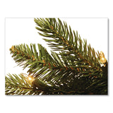 National Tree Company® Pre-Lit Grande Fir Pencil Slim Tree, 30" x 30" x 78", Green Tree, Green Tree Stand (NTTPEGF433465) Each