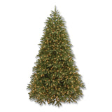 National Tree Company® Pre-Lit Jersey Fraser Fir Medium Tree, 48" x 48" x 78", Green Tree, Green Tree Stand (NTTPEJF130265) Each
