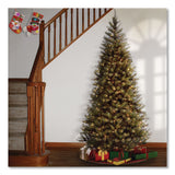 National Tree Company® Pre-Lit Aspen Spruce Slim Tree, 42" x 42" x 78", Green Tree, Green Tree Stand (NTTAP730065) Each
