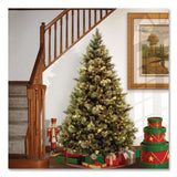 National Tree Company® Pre-Lit Carolina Pine Tree, 58" x 58" x 84", Green Tree, Green Tree Stand (NTTCAP330670) Each