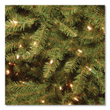 National Tree Company® Pre-Lit Dunhill Fir Tree with PowerConnect, Clear Lights, 52" x 52" x 84", Green Tree, Green Tree Stand (NTTDUH3300P70) Each