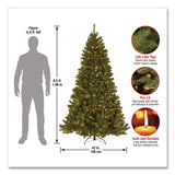 National Tree Company® Pre-Lit North Valley Spruce Tree, Clear Lights, 42" x 42" x 78", Green Tree, Green Tree Stand (NTTNRV730065) Each