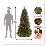 National Tree Company® Pre-Lit Jersey Fraser Fir Slim Tree, 43" x 43" x 78", Green Tree, Green Tree Stand (NTTPEJF130465) Each