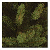 National Tree Company® Norway Fir Tree, 58" x 58" x 84", Green Tree, Green Tree Stand (NTTPENF150070) Each
