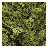 National Tree Company® Artificial Arborvitae, 13" x 13" x 60", Green Tree, Green Pot (NTTLMC4700601) Each