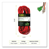 GoGreen Power 16 AWG Outdoor Extension Cord, 100 ft, 10 A, Orange (GGPGG13700) Each