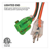 GoGreen Power 14 AWG Lighted End Heavy-Duty Extension Cord, 100 ft, 13 A, Orange/Black (GGPGG13800) Each
