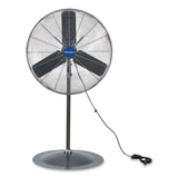 Global Industrial® Oscillating Pedestal Fan, 30", 3 Speeds, Gray (GBE585280) Each