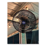 Global Industrial® Industrial Wall Mounted Oscillating Fan, 18", 3 Speeds, Black (GBE293129) Each