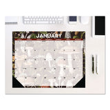 Willow Creek Press Mushrooms Large Monthly Desk Pad Calendar, 22 x 17, Multicolor Sheets, Black Headband/Corners, 12-Month (Jan to Dec) 2026 (WPR57247) Each