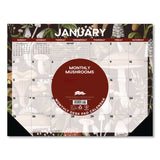 Willow Creek Press Mushrooms Large Monthly Desk Pad Calendar, 22 x 17, Multicolor Sheets, Black Headband/Corners, 12-Month (Jan to Dec) 2026 (WPR57247) Each