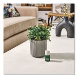 Lifelines® Evaporative Aromatherapy Essential Oil Boxwood Plant Diffuser with Fir Needle/Pine Essential Oil, 6.2 x 6.2 x 9.5, Gray/Green (LLN111611) Each