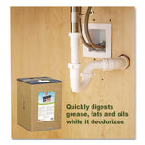 Big D Industries Drain-Tame Plus Digester Deodorant, 5 gal Pail (BGD5501) Each