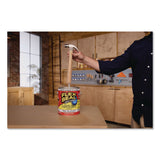 Flex Seal Products® Flex Seal Liquid Rubber Sealant Coating Liquid, 1 gal Can, Dries Clear, 2/Carton (FSGUS855CLR012) Case of 2