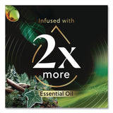 Air Wick® Vibrant Scented Oil Warmer Refill, Limited Edition, Winter Woods and Frosted Ivy, 0.67 oz, 2/Pack (RAC6233803463) Pack of 2