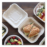 World Centric® Fiber Hinged Takeout Containers, 8.2 x 8.8 x 2.9, Natural, Sugarcane Fiber, 300/Carton (WORTOSCU853LLF) Case of 300