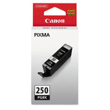 Canon® 6497B001 (PGI-250) ChromaLife100+ Ink, 300 Page-Yield, Black (CNM6497B001) Each