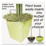 NuDell™ Artificial Ficus Tree, 6 ft Tall (NUDT7781)
