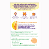 Culturelle® Probiotic Dietary Supplement 24 per Box Chewable Tablet (1268950_BX) 1/BX