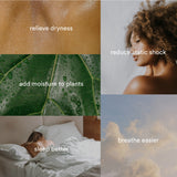 Homedics® Ultrasonic Humidifier (1253820_EA) 1/EA