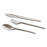 WNA EcoSense Renewable Plant Starch Cutlery, Fork, 7", 50/Pack (WNAEPS002PK) Pack of 50