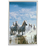MT Displays Snap Frame 24'' X 36'' Poster Size, 1" Silver Color Profile, Mitered Corner (UCN255N024X2990) Each