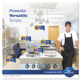 Tide® Professional™ Floor and All-Purpose Cleaner, 36 lb Box (PGC02364) Each