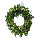 Command™ Clear Hooks and Strips, Medium, Plastic, 2 lb Capacity, 6 Hooks and 12 Strips/Pack (MMM17091CLR6ES) Each