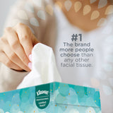 Kleenex® Facial Tissue White 8-1/5 X 8-2/5 Inch 100 Count (60594_CS) 36/CS
