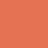 McKesson Sprague Stethoscope Orange 2-Tube 22 Inch Tube Double Sided Chestpiece (1089448_EA) 1/EA