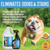 Tough Stuff® Urine Odor & Stain Eliminator, Original, 32 oz Bottle (HOS32NTP) Each