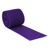 Delta-Lite® Plus Cast Tape 2 Inch X 12 Foot Fiberglass / Resin Purple (653388_BX) 10/BX