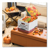 Bankers Box® R-KIVE Heavy-Duty Storage Boxes, Letter/Legal Files, 12.75" x 16.5" x 10.38", White/Red, 12/Carton (FEL07242) Carton of 12