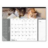 Blueline® Pets Collection Monthly Desk Pad, Furry Kittens Photography, 22 x 17, White Sheets, Black Binding, 12-Month (Jan-Dec): 2026 (REDC194115) Each