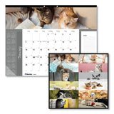 Blueline® Pets Collection Monthly Desk Pad, Furry Kittens Photography, 22 x 17, White Sheets, Black Binding, 12-Month (Jan-Dec): 2026 (REDC194115) Each