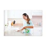 Clorox® Clean-Up Cleaner + Bleach, Original, 32 oz Spray Bottle, 9/Carton (CLO31221) Case of 9