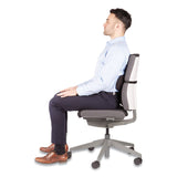 Fellowes® Lumbar Back Support, 12 x 3.13 x 5.19, Black (FEL9190701) Each