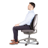 Fellowes® Office Suites Mesh Back Support, 17.3 x 5.56 x 20.18, Black (FEL9191301) Each