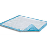 Attends® Care Dri-Sorb® Disposable Underpad 23 X 36 Inch Cellulose / Polymer Heavy Absorbency (725387_PK) 10/PK